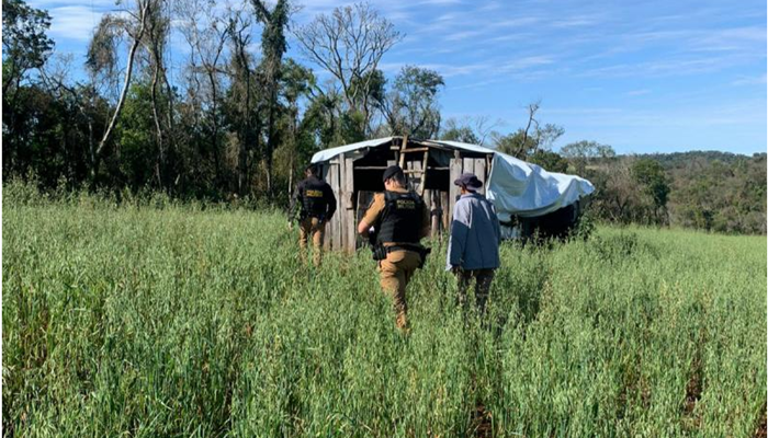 Laranjeiras - Adolescentes apreendidos confessam ter matado homem a golpes de foice